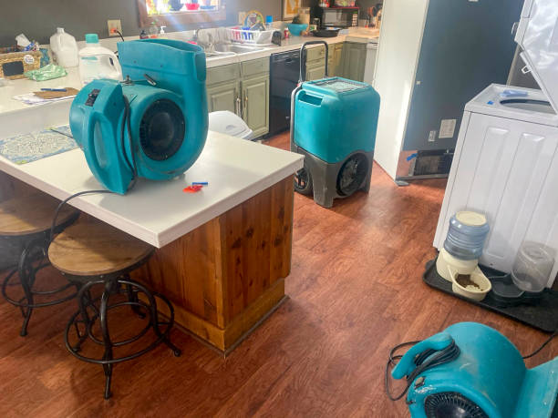 Best Local water damage restoration  in Olathe, KS