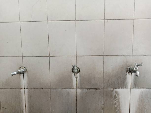 Best Basement water damage restoration  in Olathe, KS