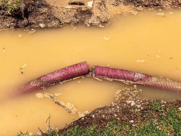  Olathe, KS Water damage restoration Pros
